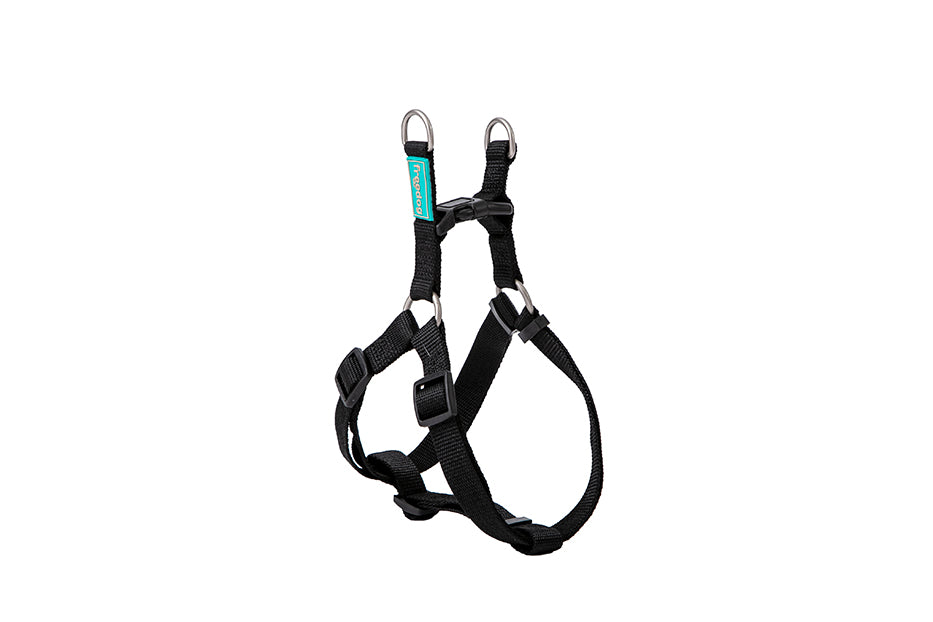 Arnés Nylon Basic Tipo A