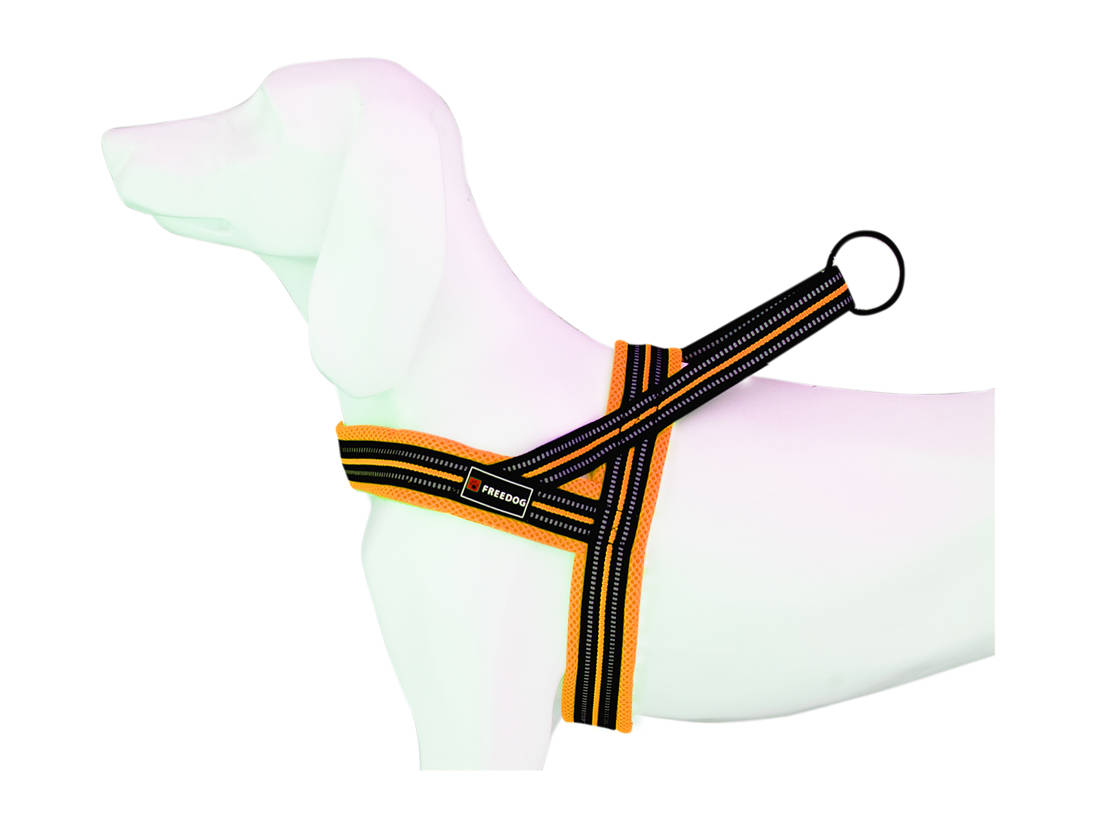 Arnes SOFT Sport