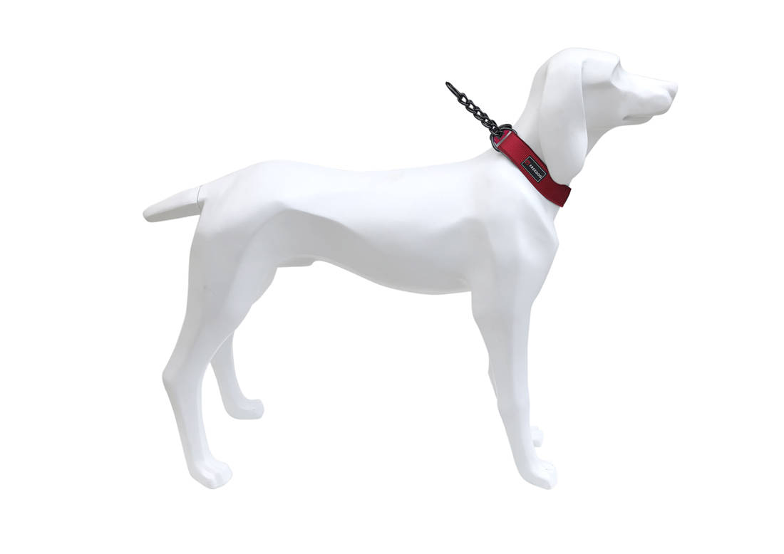 Collar GUN