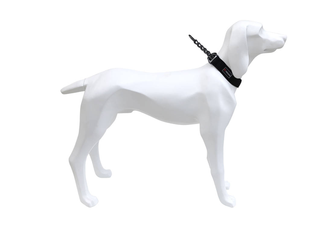 Collar GUN