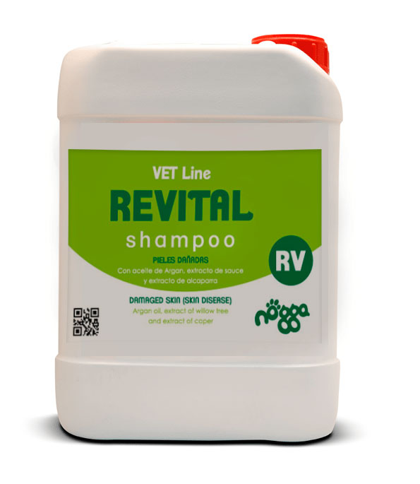 Revital Shampoo RV nogga