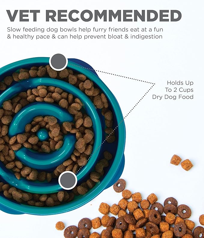 Comedero Outward Hound Fun Feeder Slo Bowl