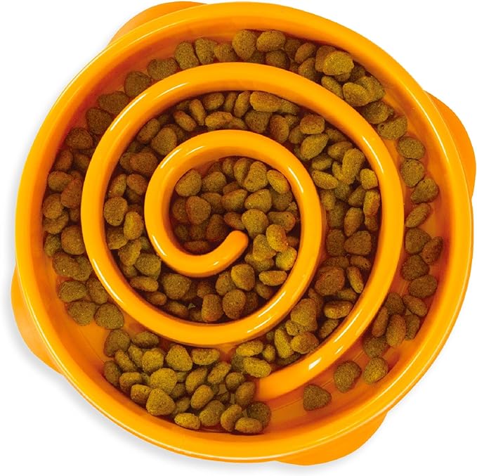 Comedero Outward Hound Fun Feeder Slo Bowl