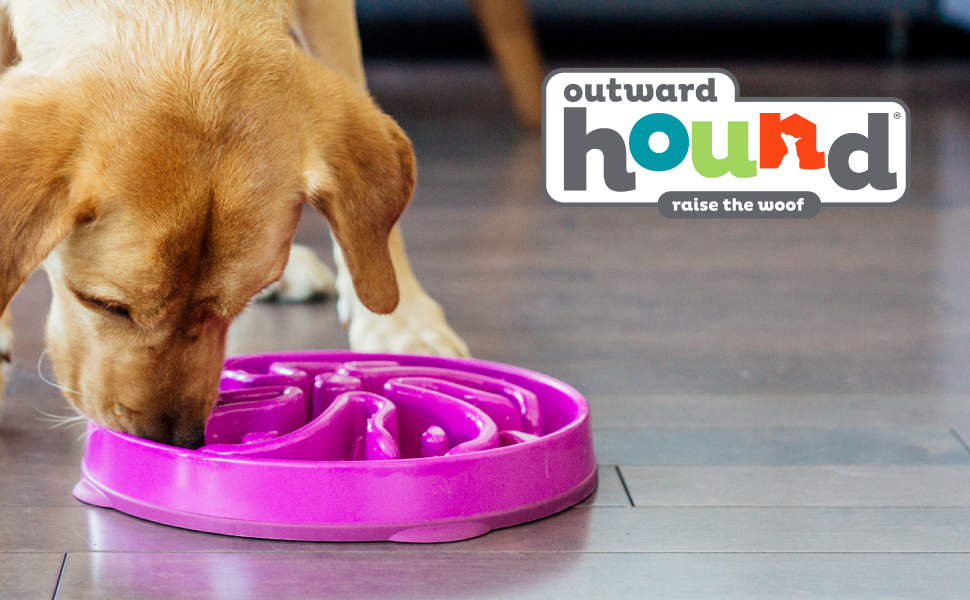 Comedero Outward Hound Fun Feeder Slo Bowl