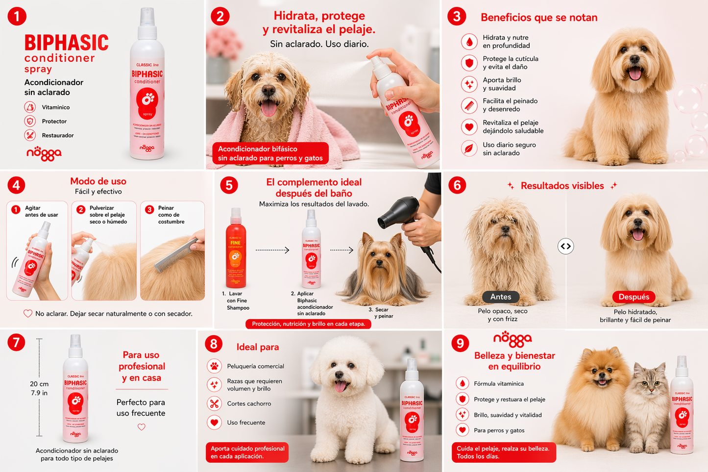 Biphasic Conditioner