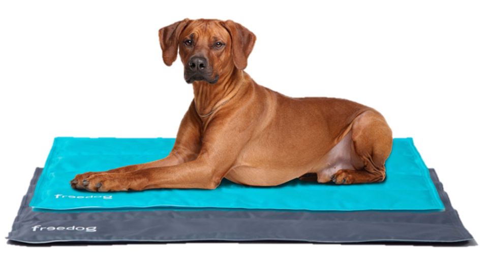 CoolBed