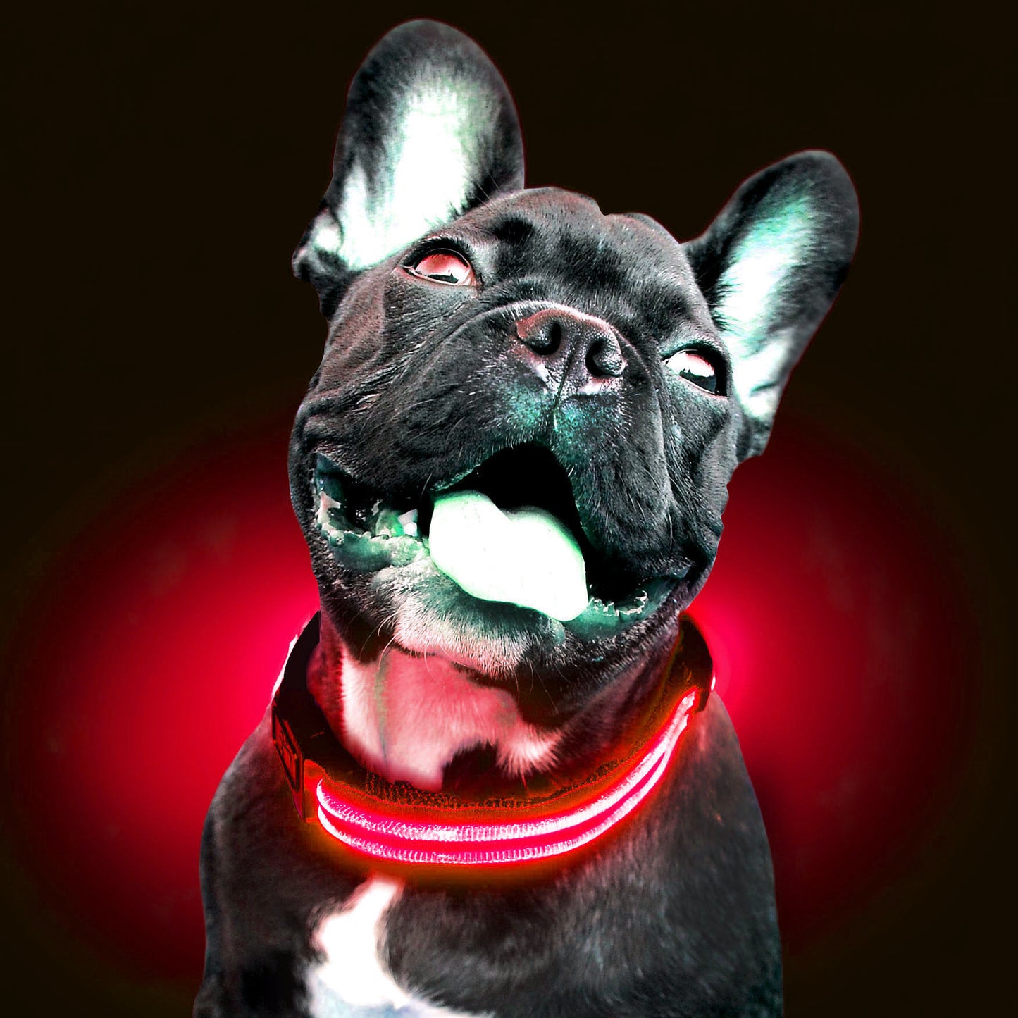 Collar LED