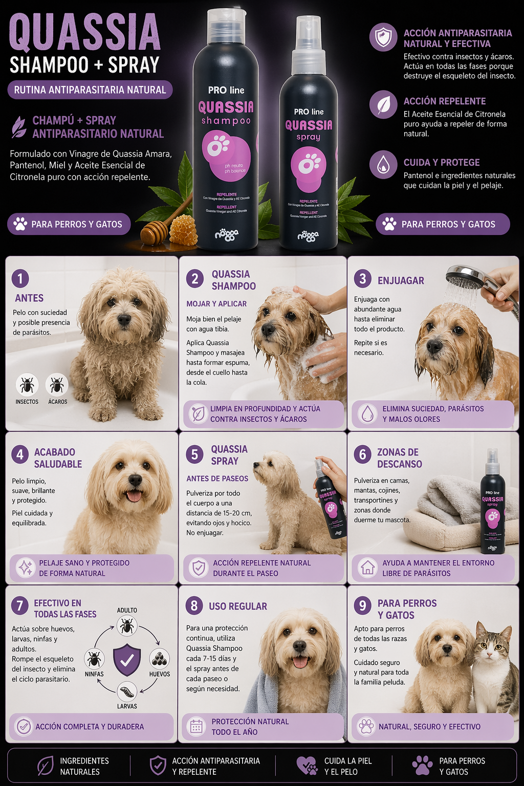 Quassia Shampoo nogga