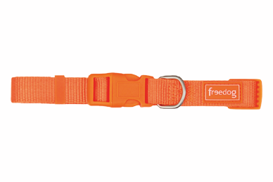 Collar Nylon Basic