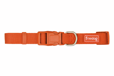 Collar Nylon Basic
