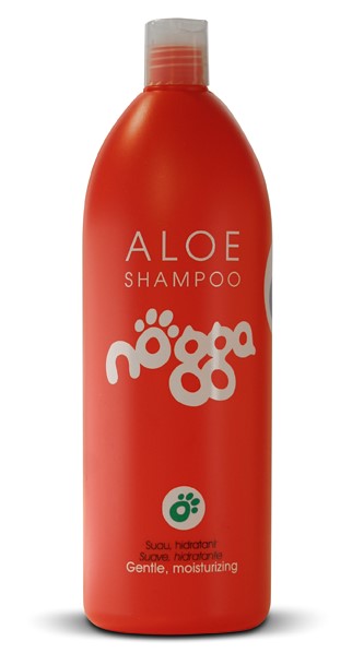 Aloe Shampoo nogga