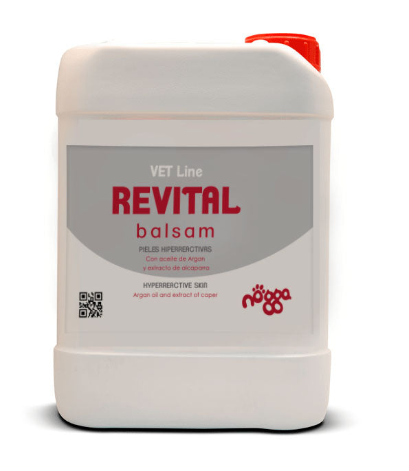 Revital Balsam nogga