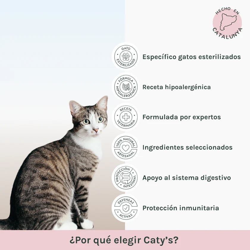 Hipoalergénico | Pienso Gatos Salmón | Caty´s