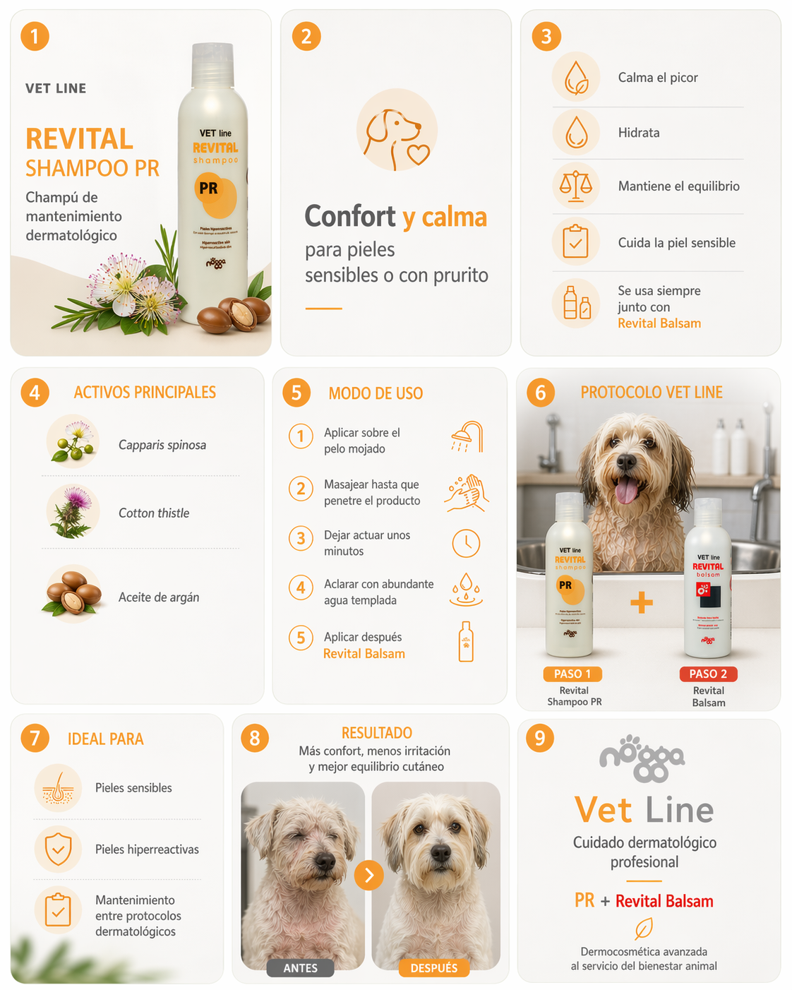 Revital Shampoo PR nogga