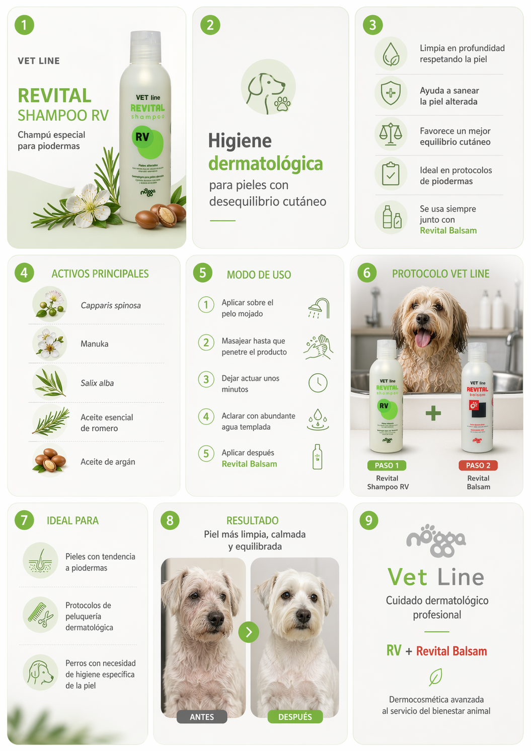 Revital Shampoo RV nogga