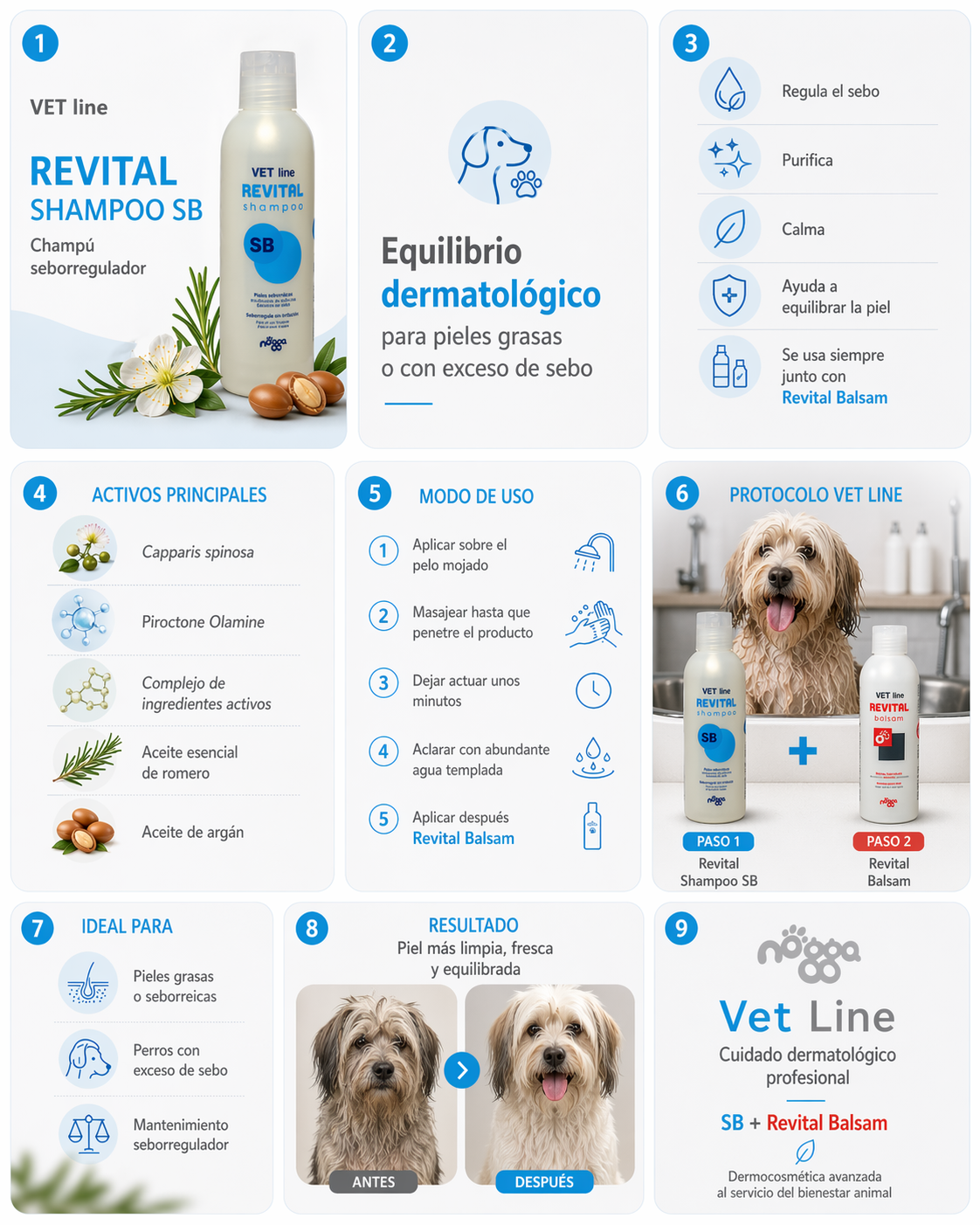 Revital Shampoo SB nogga