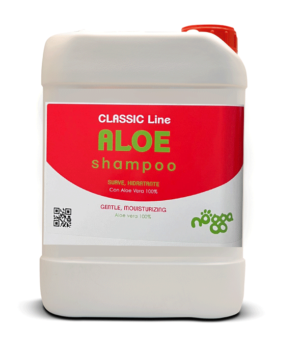 Aloe Shampoo nogga