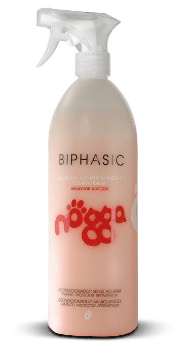 Biphasic Conditioner