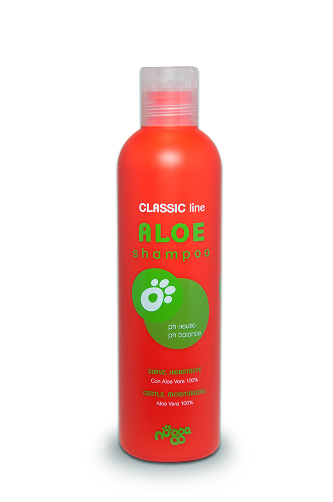 Aloe Shampoo nogga