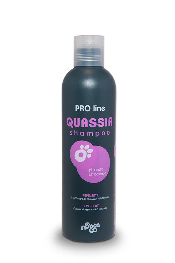 Quassia Shampoo nogga